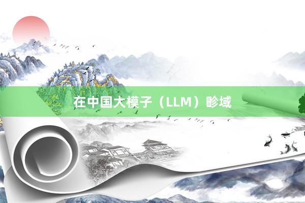 在中国大模子（LLM）畛域